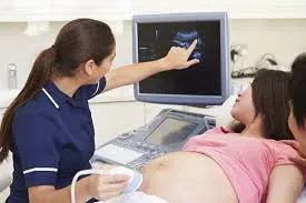 Obstetrik Ultrason Prosedürü Örneği
