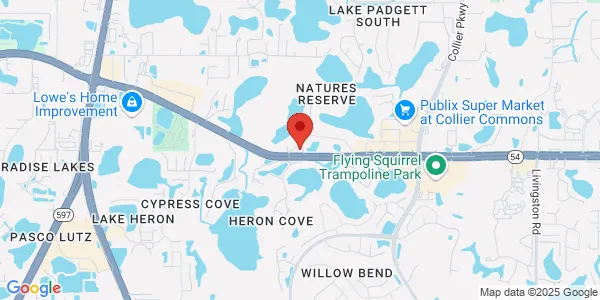 Map of 22299 SR 54 Ste 104 Lutz, FL 33549
