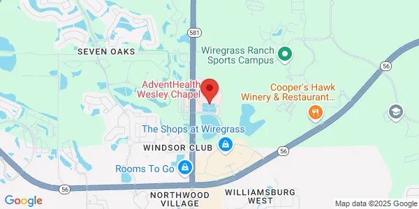 Map of 2590 Healing Wy Wesley Chapel, FL 33544