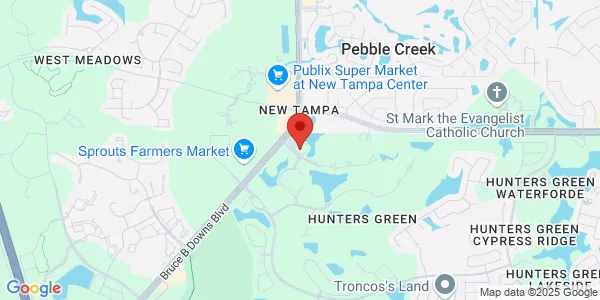 Map of 8702 Hunters Lake Dr Tampa, FL 33647