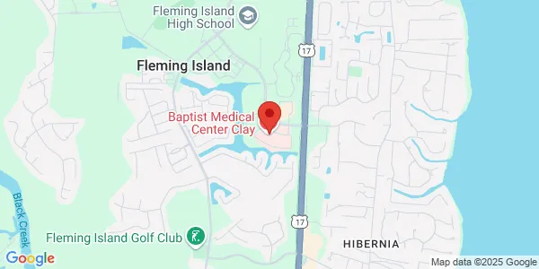 Map of 1771 Baptist Clay Dr Fleming Island, FL 32003