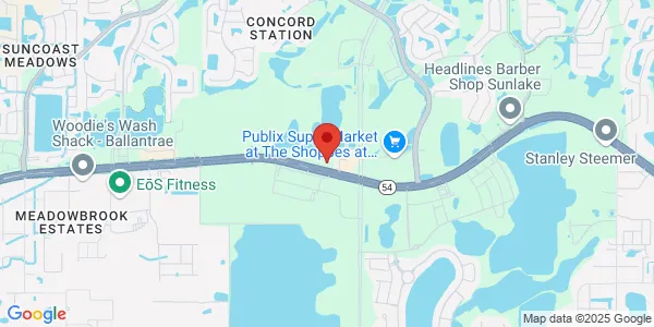 Map of 18600 Fernview St Land O' Lakes, FL 34638