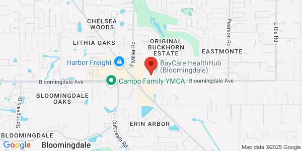 Map of 2442 Bloomingdale Ave Valrico, FL 33596