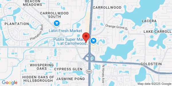 Map of 10010 N Dale Mabry Hwy Ste 150 Tampa, FL 33618