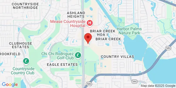Map of 3131 McMullen Booth Rd Clearwater, FL 33761