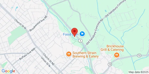 Map of 205 Branchview Dr NE Concord, NC 28025