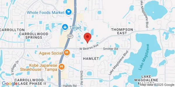 Map of 3343 W Bears Ave Tampa, FL 33618