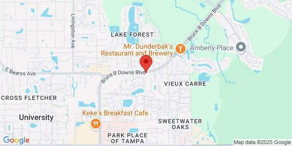 Map of 14547 Bruce B Downs Blvd Tampa, FL 33613