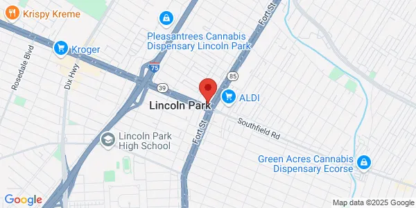 Map of 1770 Fort St Lincoln Park, MI 48146