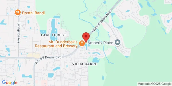 Map of 15043 Bruce B Downs Blvd Tampa, FL 33647