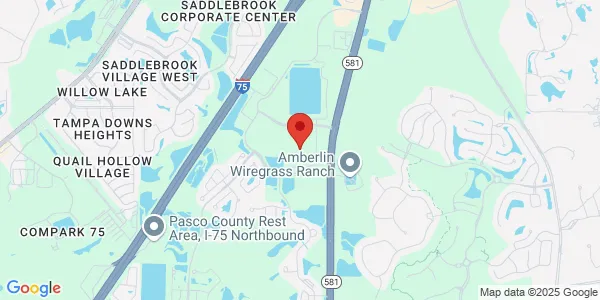 Map of 4501 Bruce B Downs Blvd Wesley Chapel, FL 33544