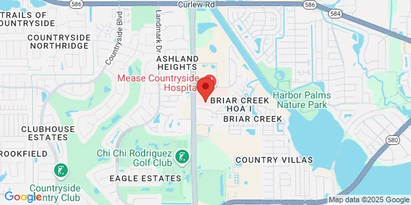 Map of 3231 Mcmullen Booth Rd Safety Harbor, FL 34695