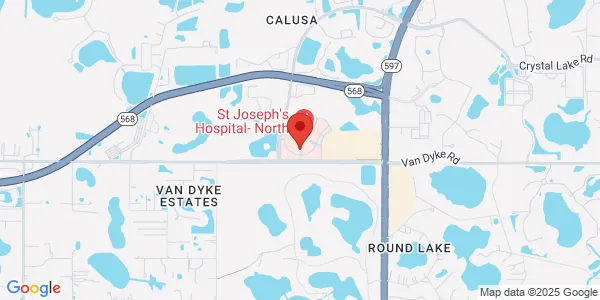 Map of 4211 Van Dyke Rd Lutz, FL 33558