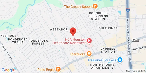 Map of 17323 Red Oak Dr Houston, TX 77090