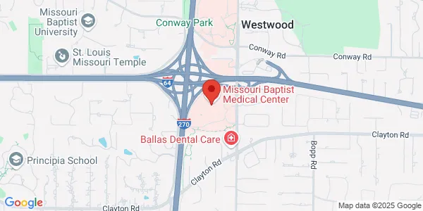 Map of 3015 N Ballas Rd Saint Louis, MO 63131