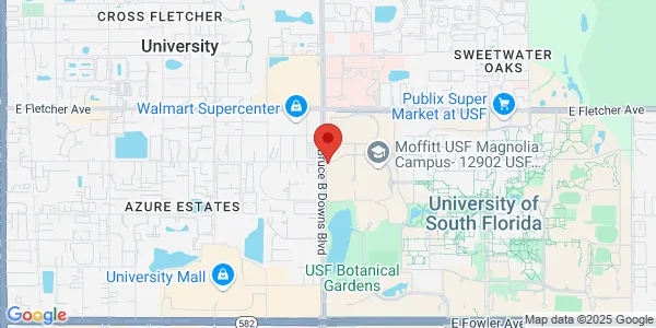 Map of 3011 Holly Dr Tampa, FL 33612