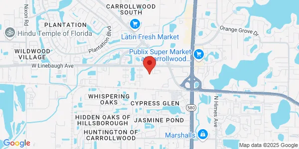 Map of 4204 W Linebaugh Ave Tampa, FL 33624