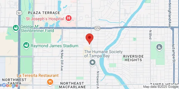 Map of 4144 N Armenia Ave Tampa, FL 33607