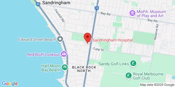 Map of 193 Bluff Rd Sandringham Victoria 3191 Australia