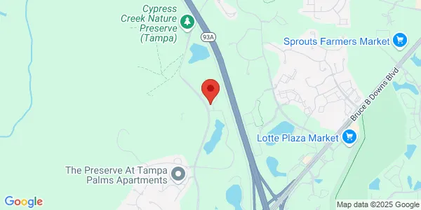 Map of 17416 Brookside Trace Ct Tampa, FL 33647