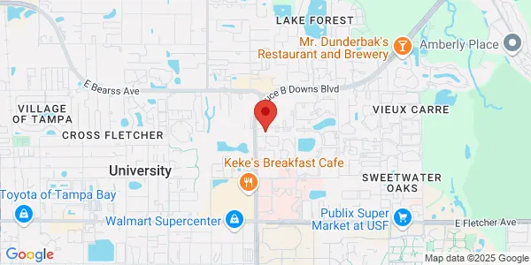 Map of 3069 Grand Pavilion Dr Tampa, FL 33613