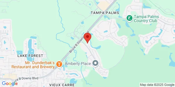 Map of 15320 Amberly Dr. Suite A Tampa, FL 33647