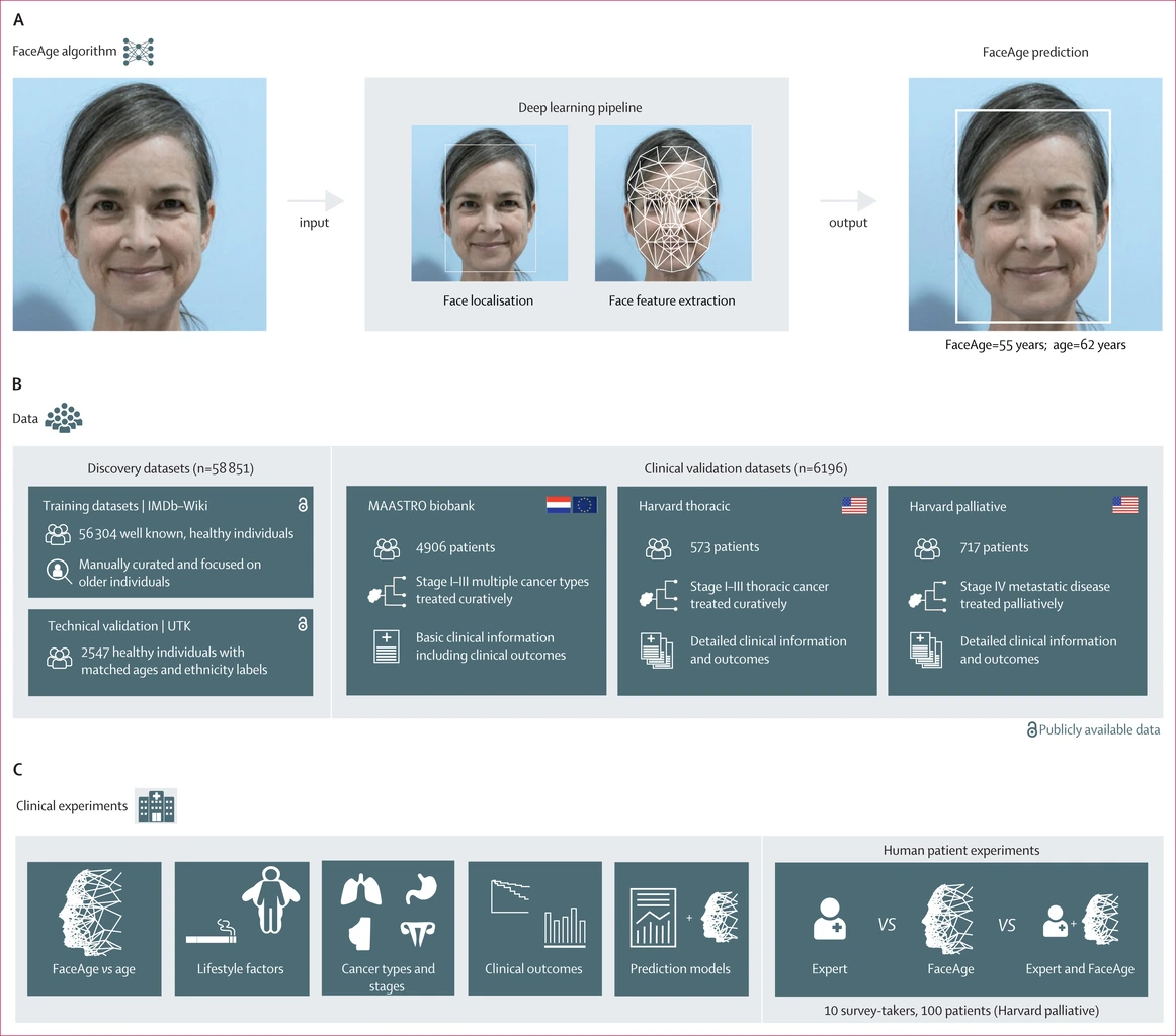FaceAge: AI Predicts Cancer Survival by Reading Your Face