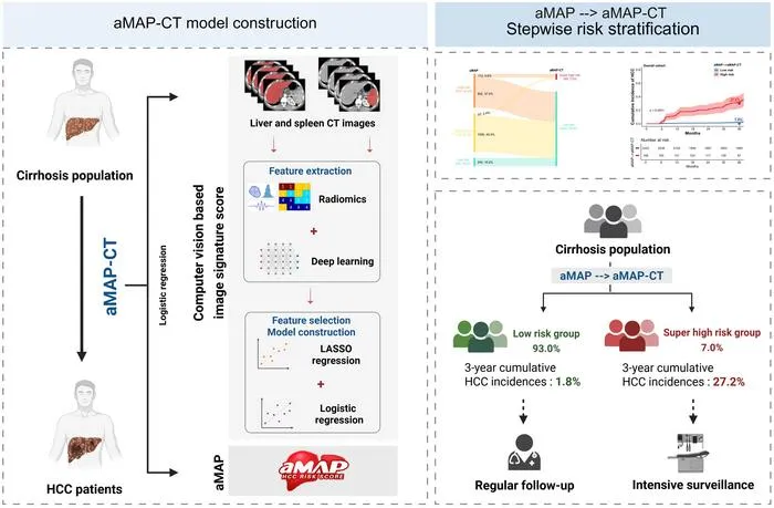 AI-Enhanced CT Model Improves HCC Risk Prediction in Cirrhosis
