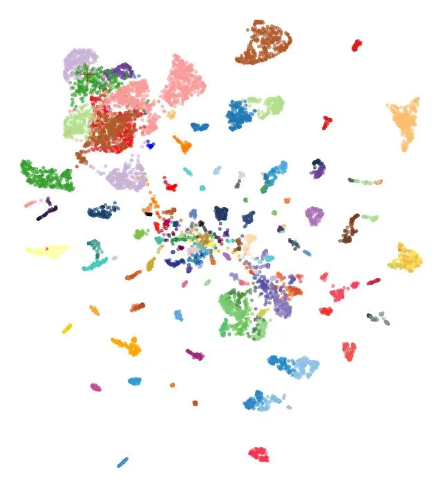 AI Model crossNN Accurately Classifies 170+ Tumor Types Using Epigenetic Data