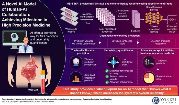 AI Model Predicts Microsatellite Instability and Immunotherapy Response from Histology
