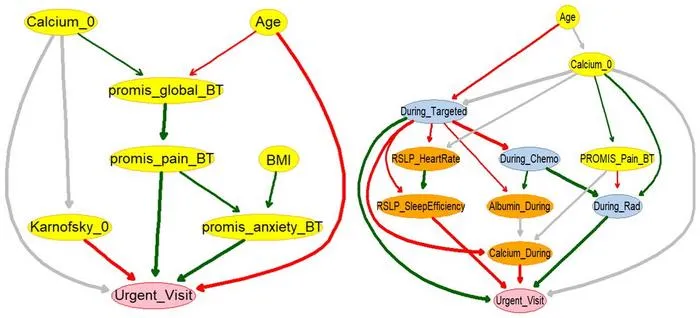Moffitt Develops AI Model to Predict Urgent Care in Lung Cancer Patients