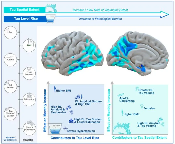 PET Imaging Study Reveals Modifiable Risk Factors in Alzheimer’s Tau Spread