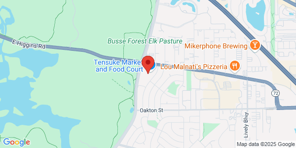 Map of 31 Arlington Heights Rd Elk Grove Village, IL 60007