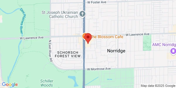 Map of 4701 N Cumberland Ave Ste 18A Norridge, IL 60706